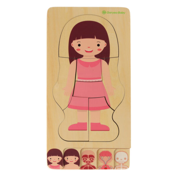 Puzzle drewniane warstwowe budowa ciała montessori dziewczynka - obrazek 2